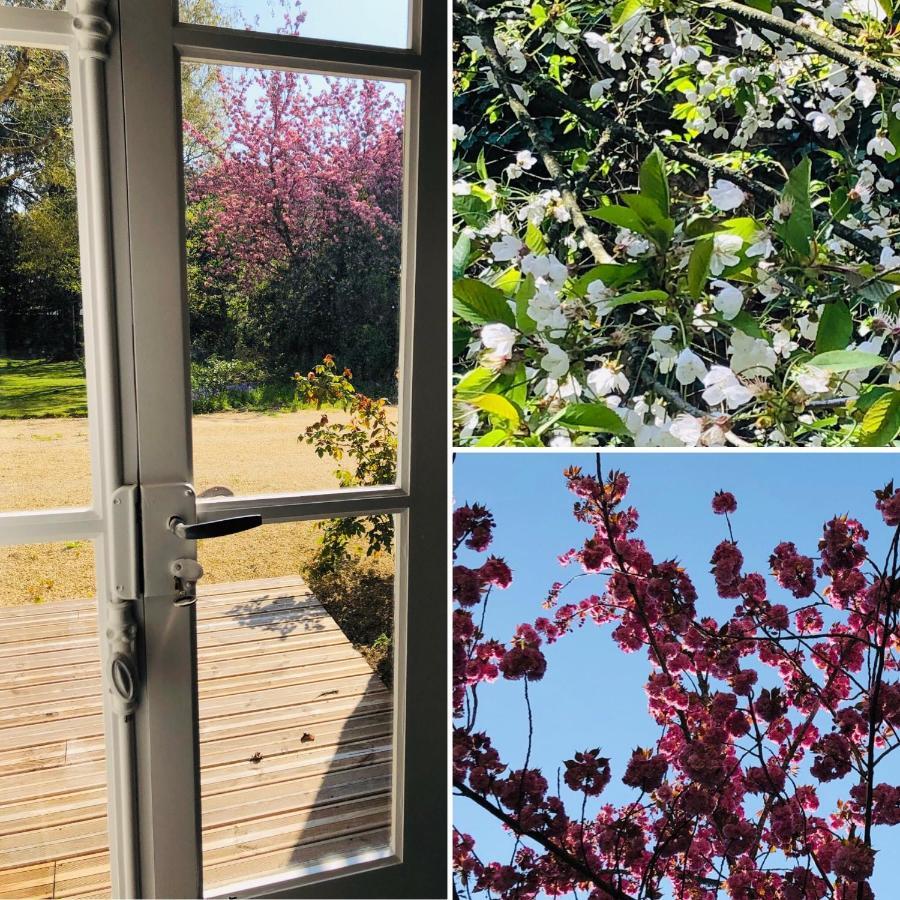 Hotel Au Rez de Jardin à Cholet Extérieur photo